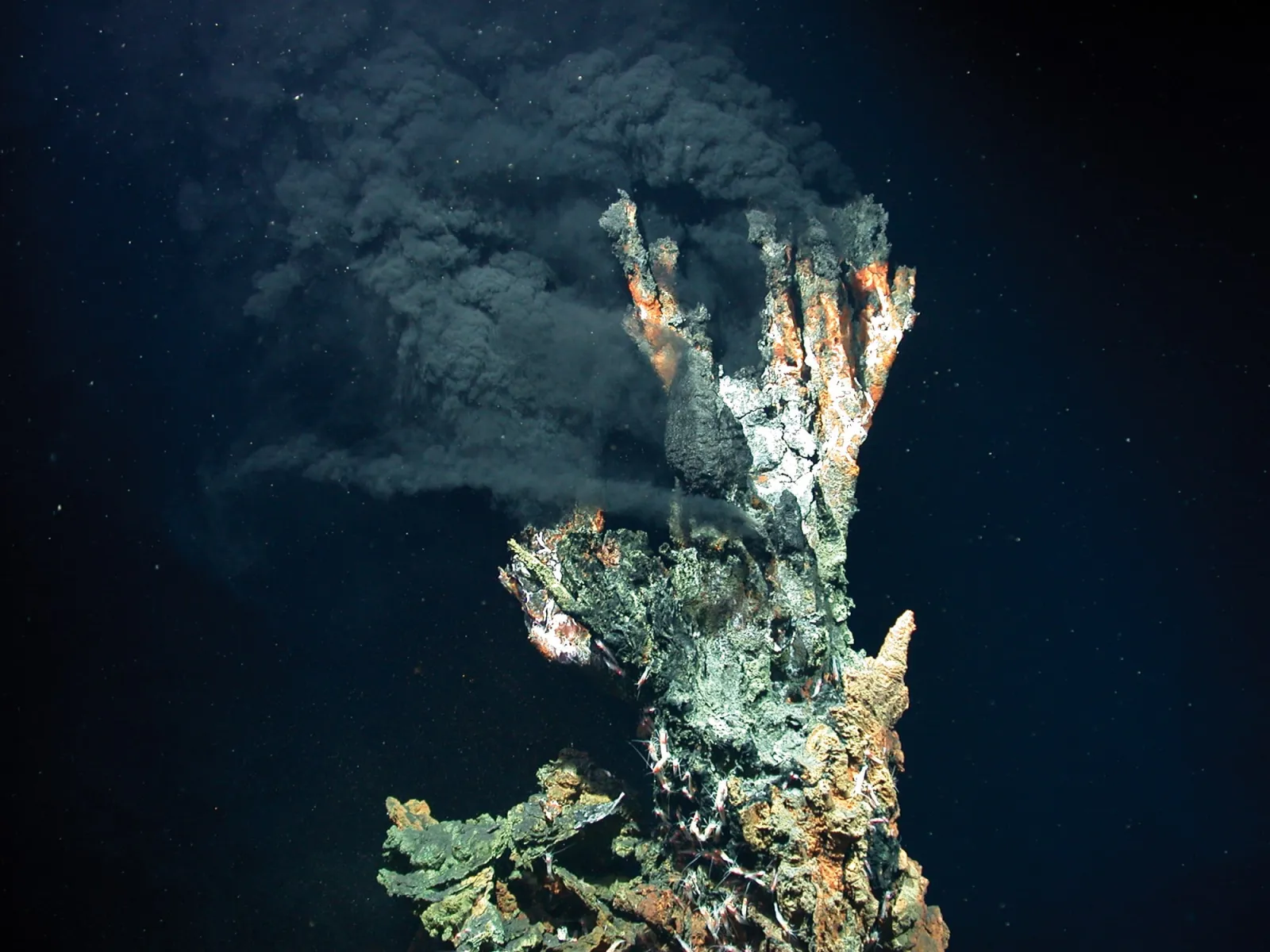 Fumarola hidrotermal submarina conhecida como fumarola negra