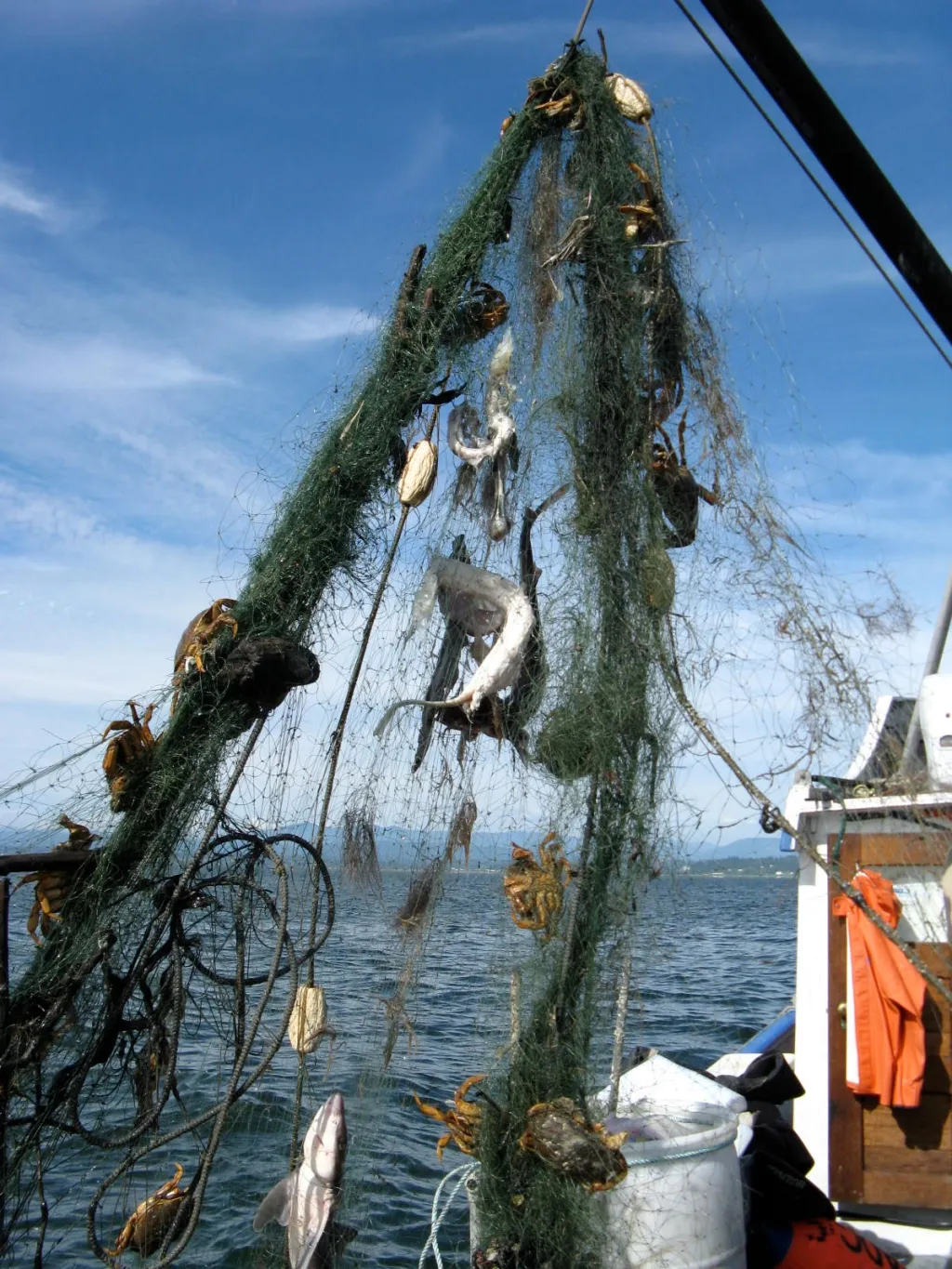 Redes de pesca abandonadas na praia